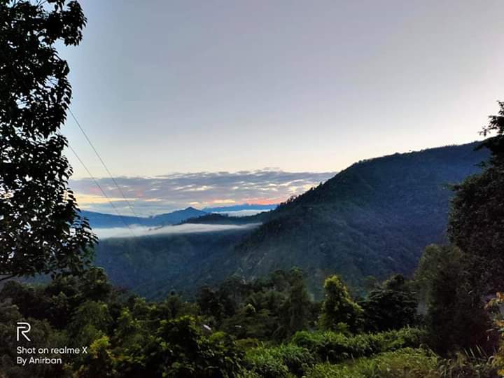 nature galary