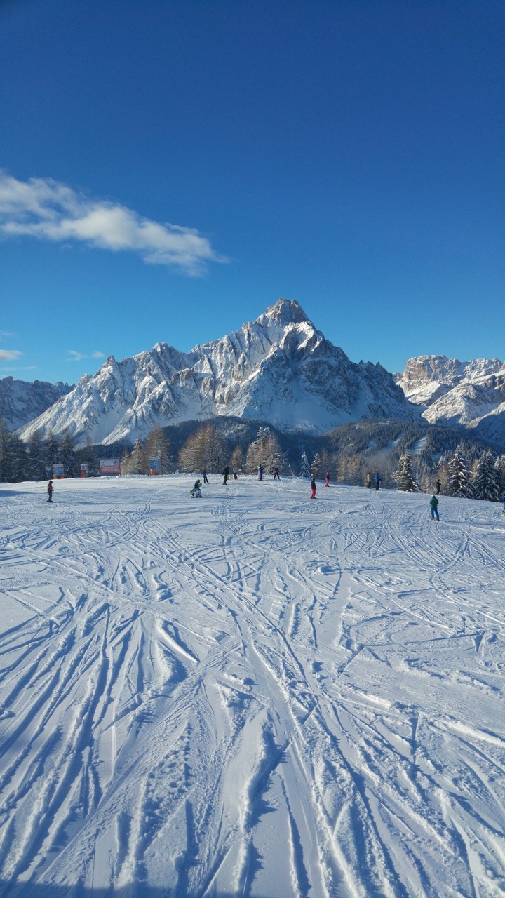 winter landscapes