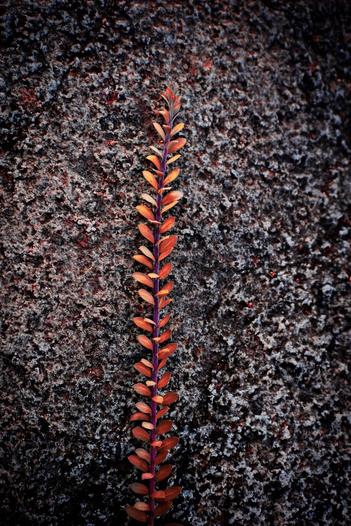 wall texture