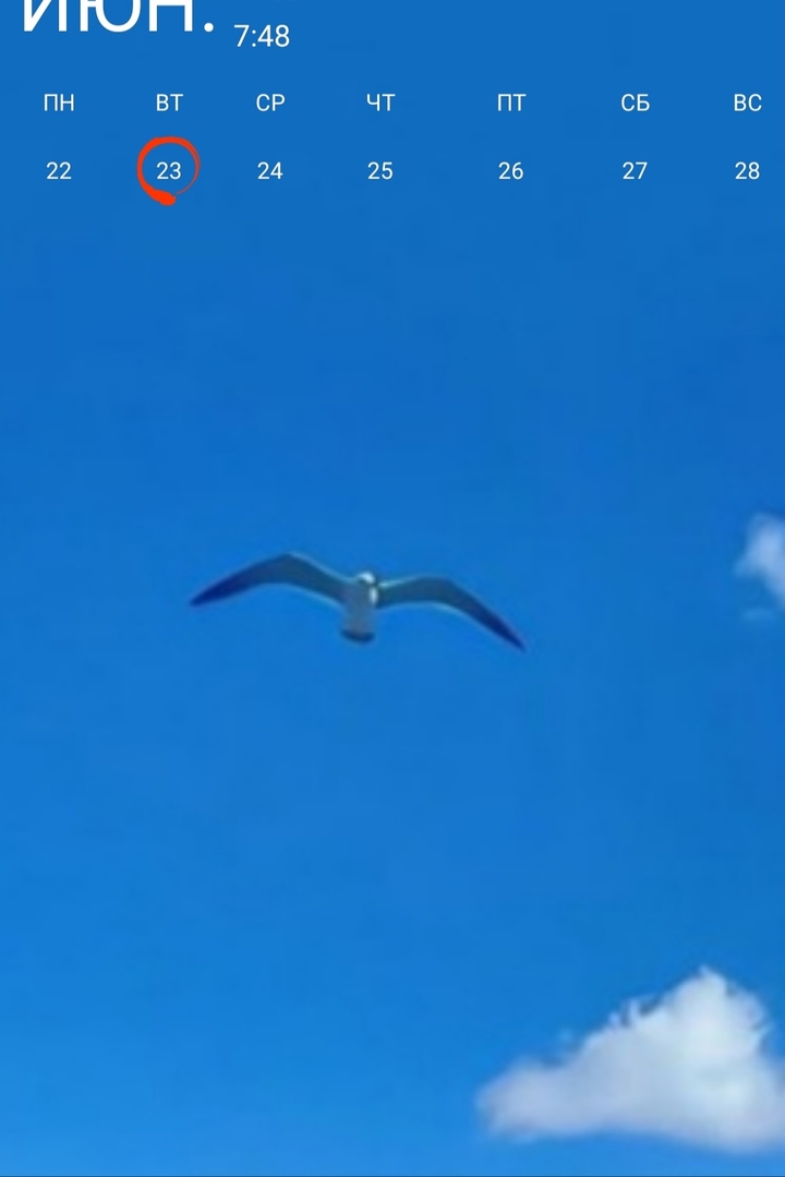 .