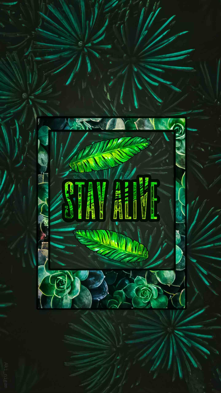 ⠀