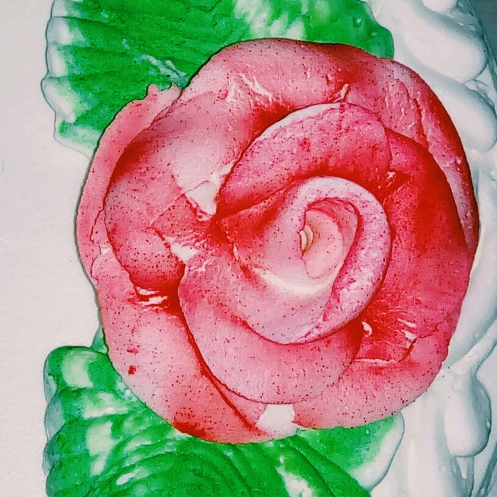 yummy rose