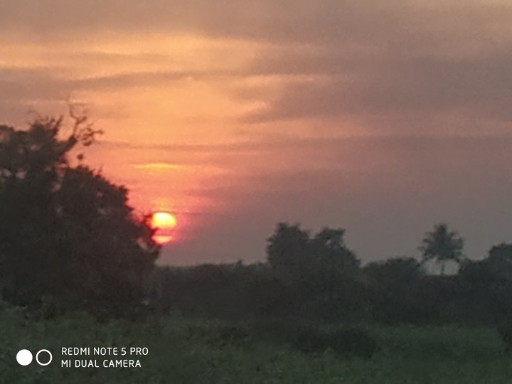 sun set