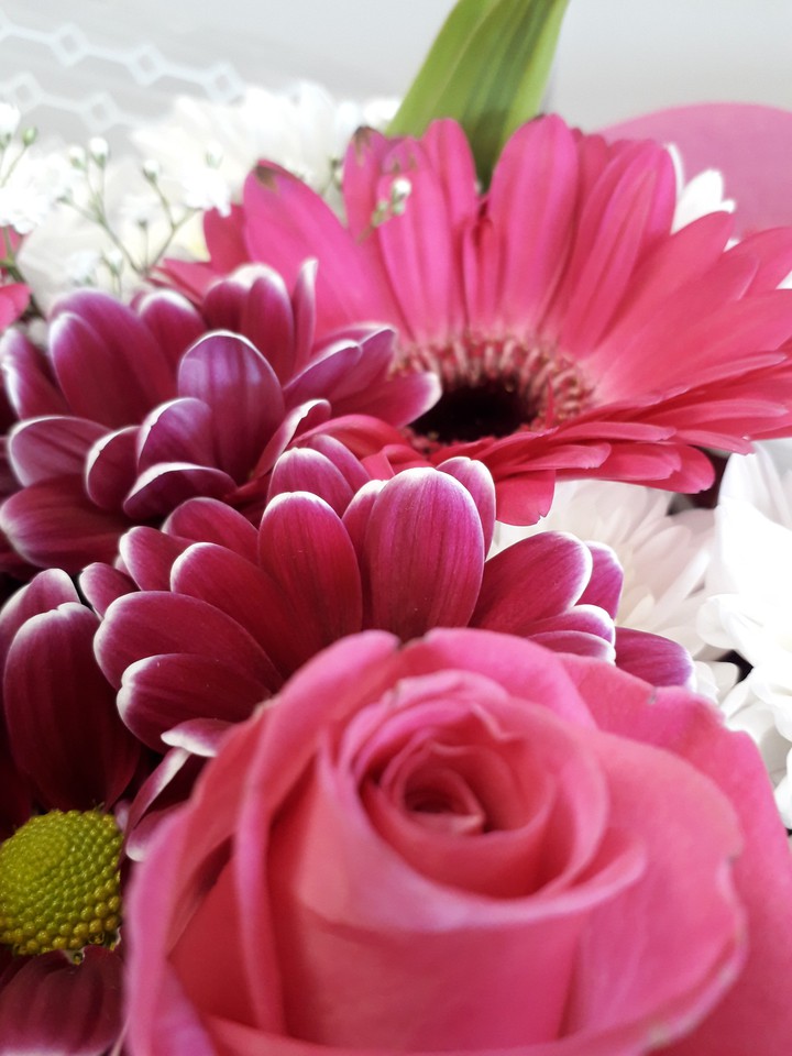 flowers