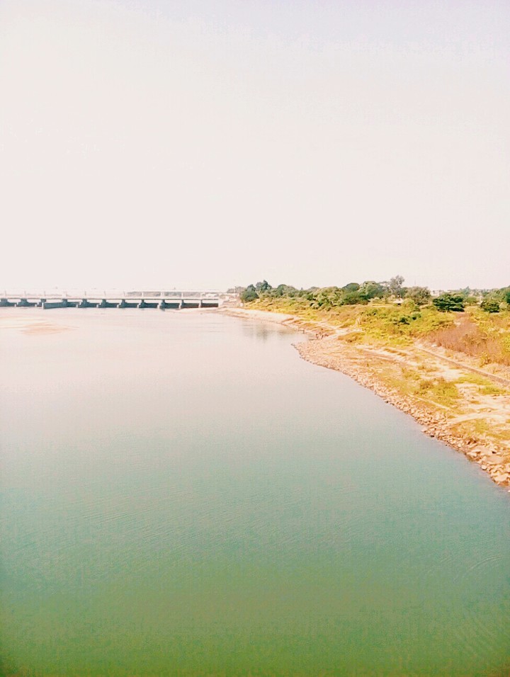 View....