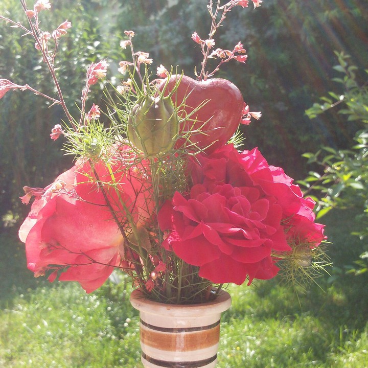 Rose_friend