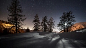 tree give a reason we see them