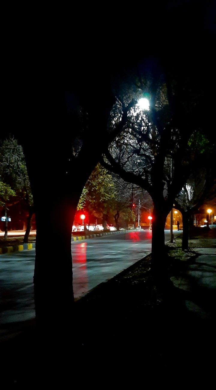 Signal
