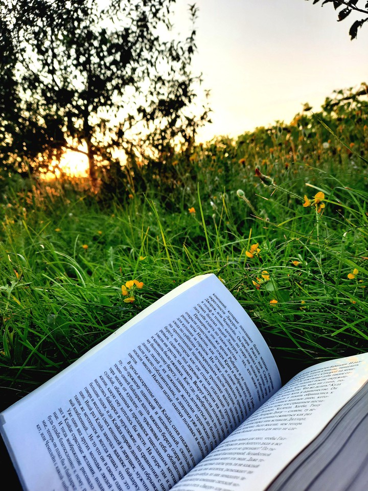 evening reading