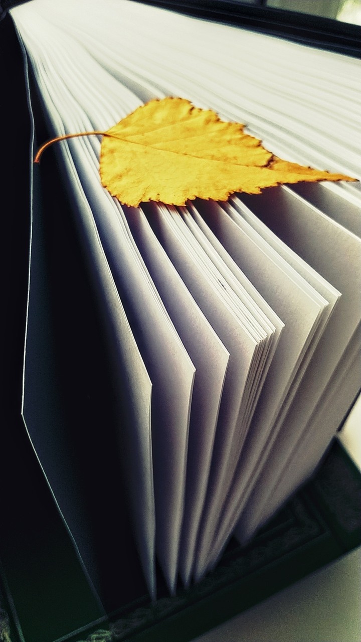 Book pages