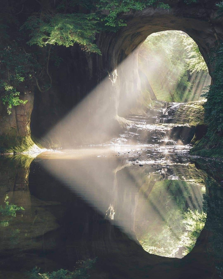 nature heart