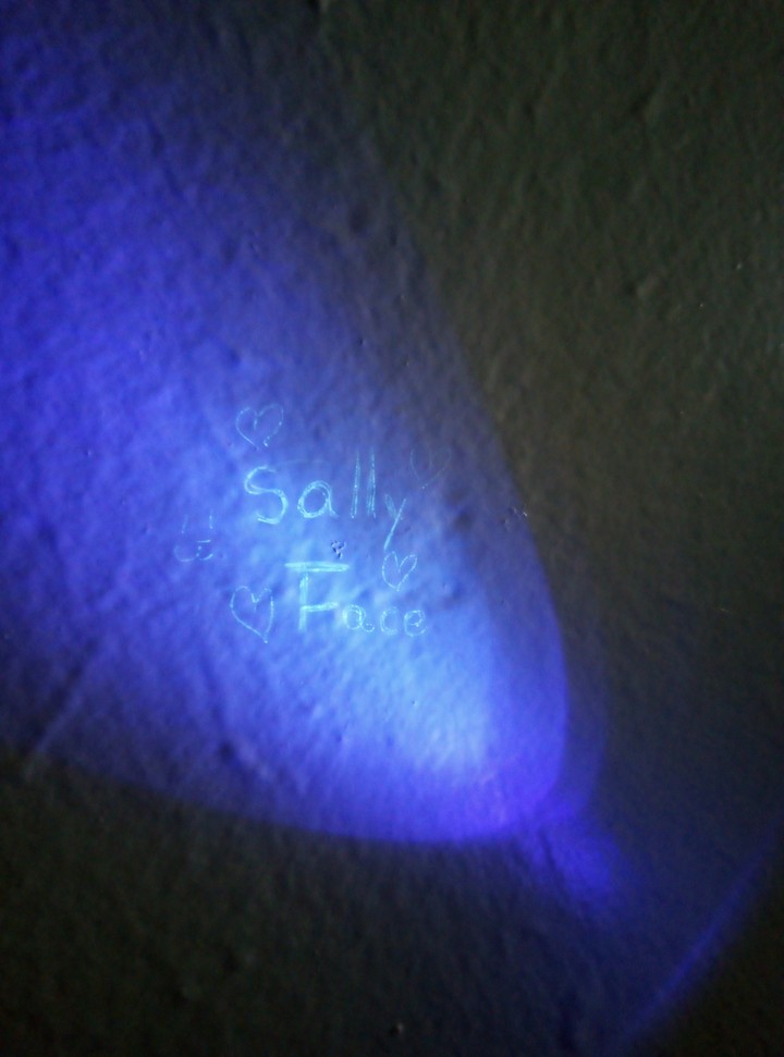 SALLY FACE???