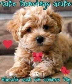 ❤❤❤