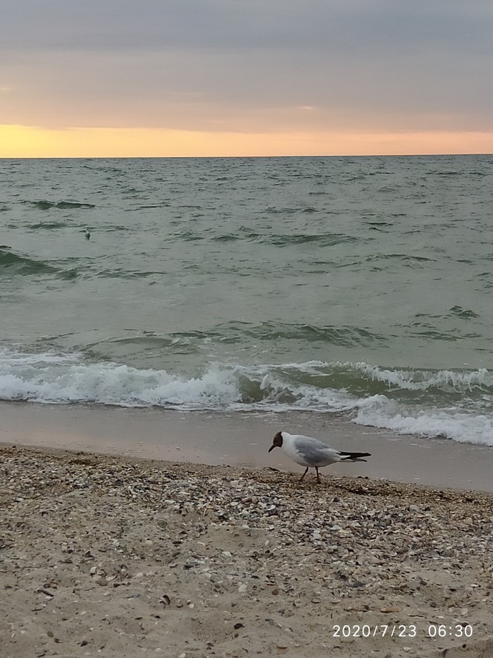 море