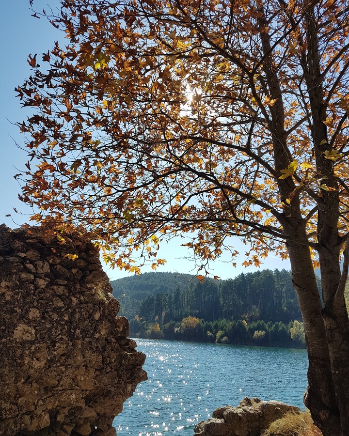 sweet fall