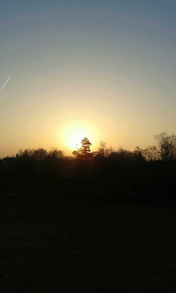 Is this picture nice