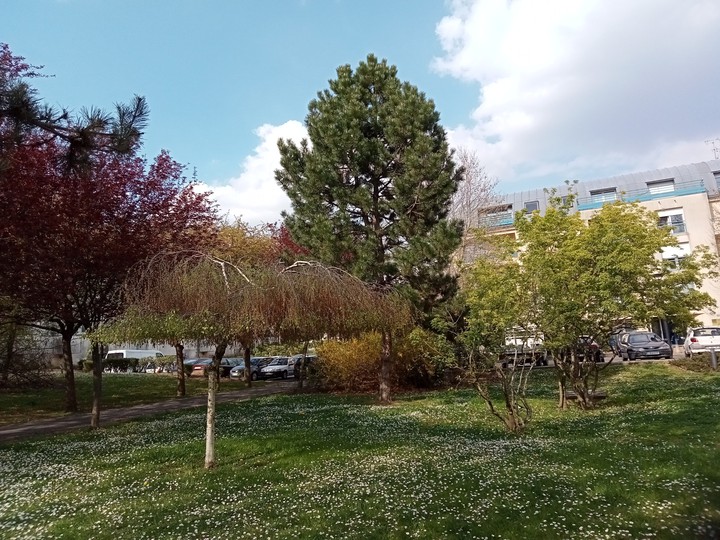 park
