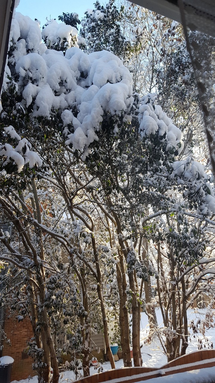 winter