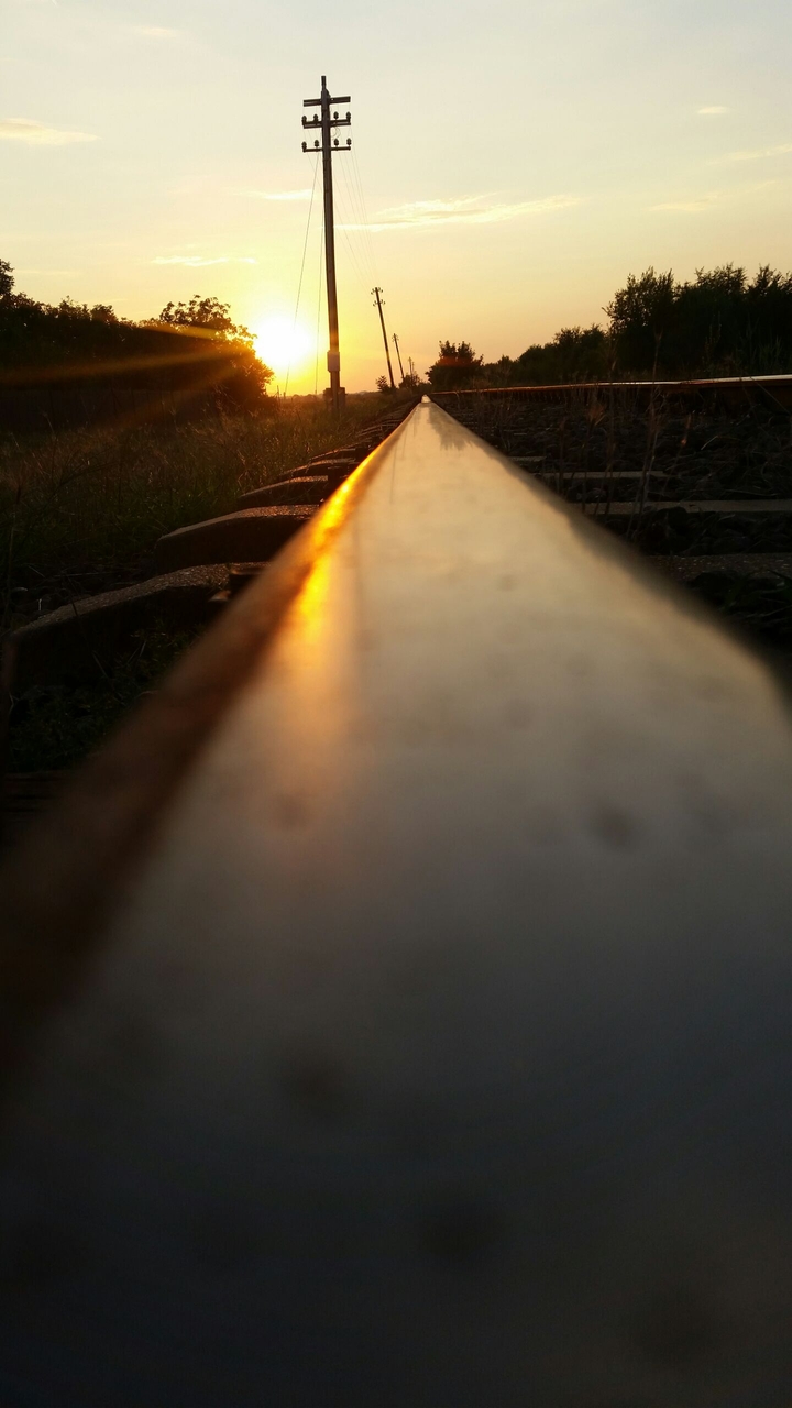 train