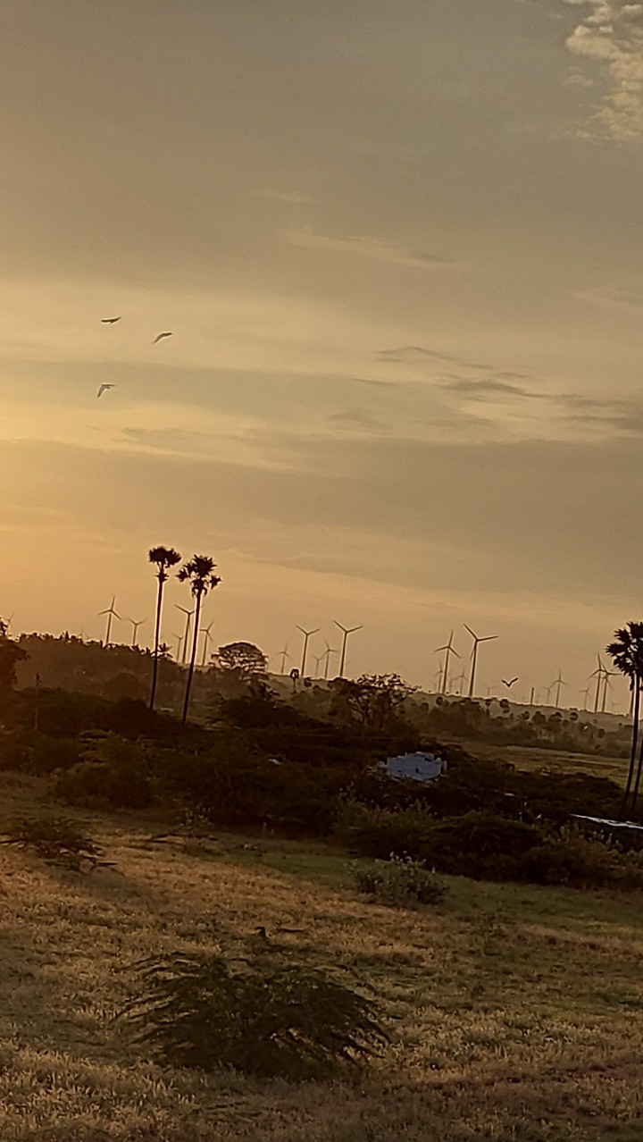 rural sunset 3