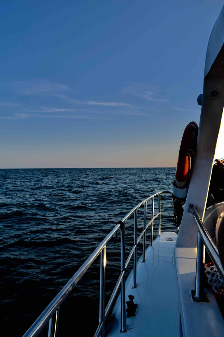 Captain, have you heard of the sea?