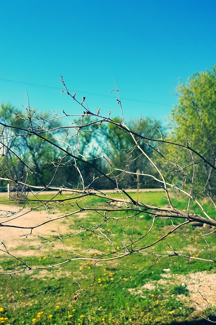Brand new branch