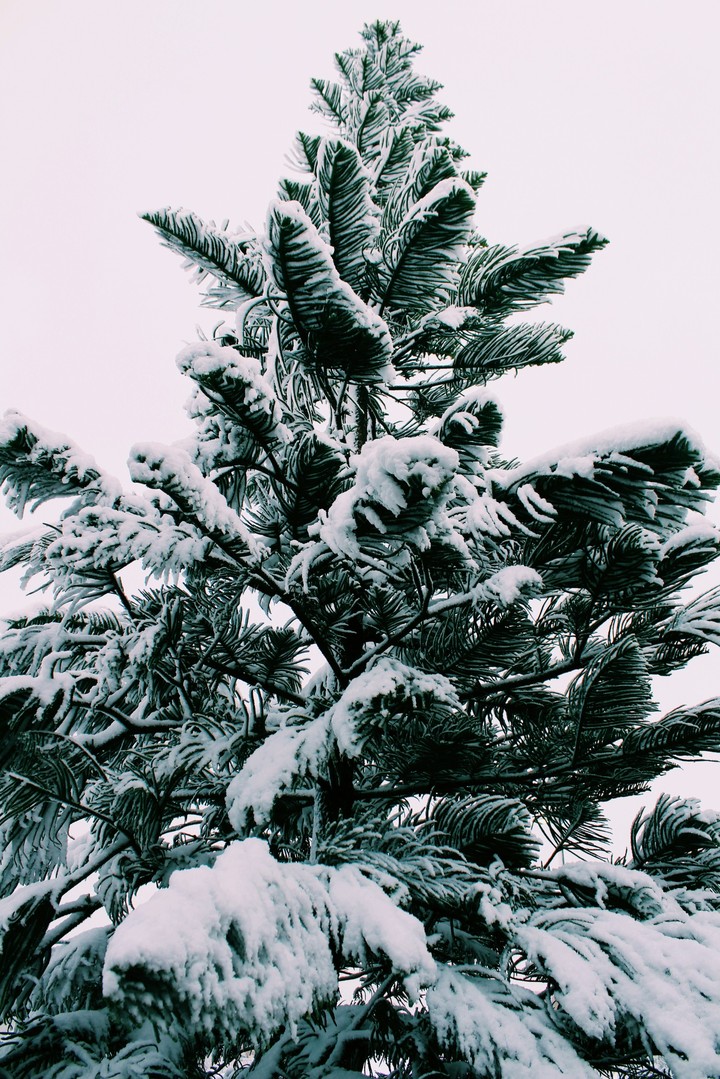 Snow