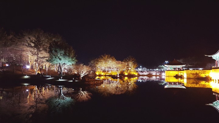 안압지 야경