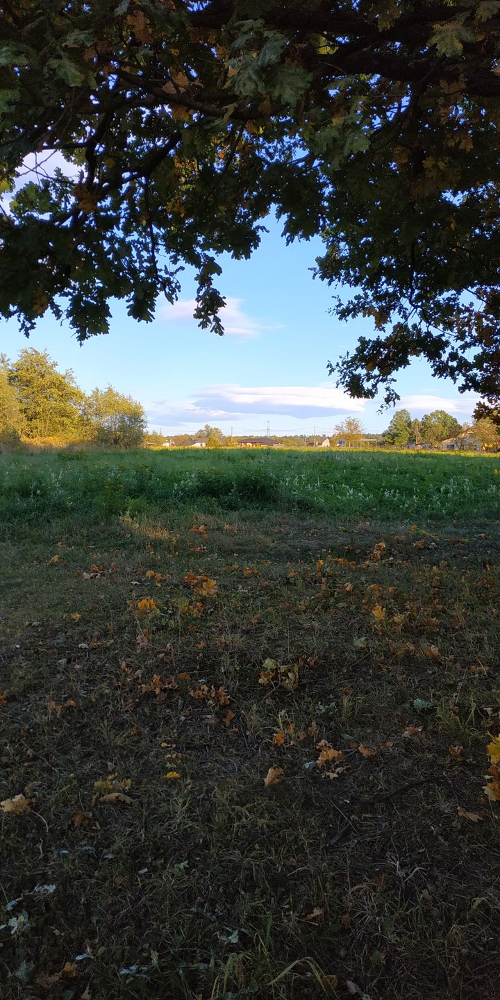 Nice day