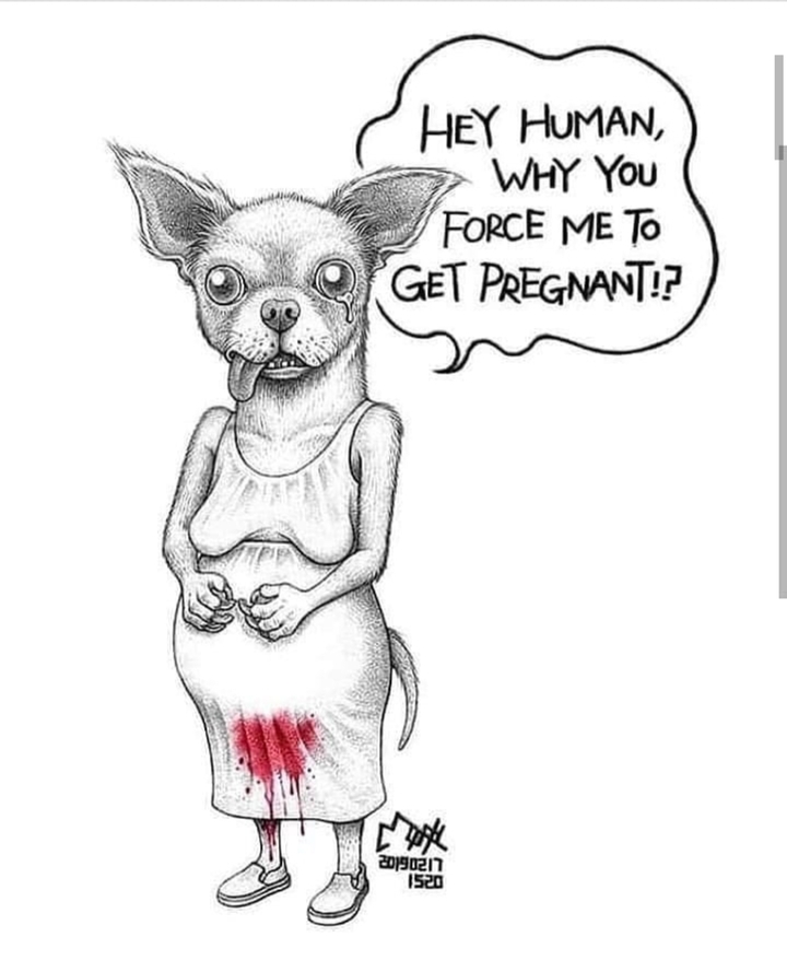 human