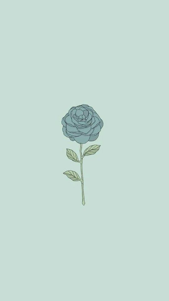Blue rose