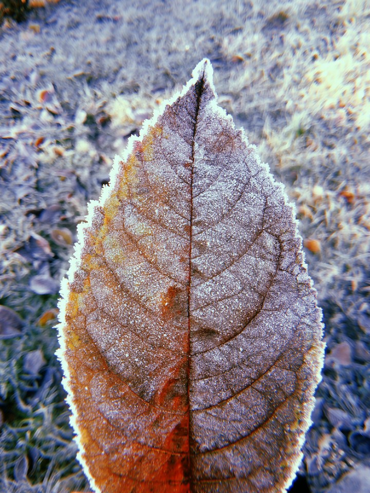 winter
