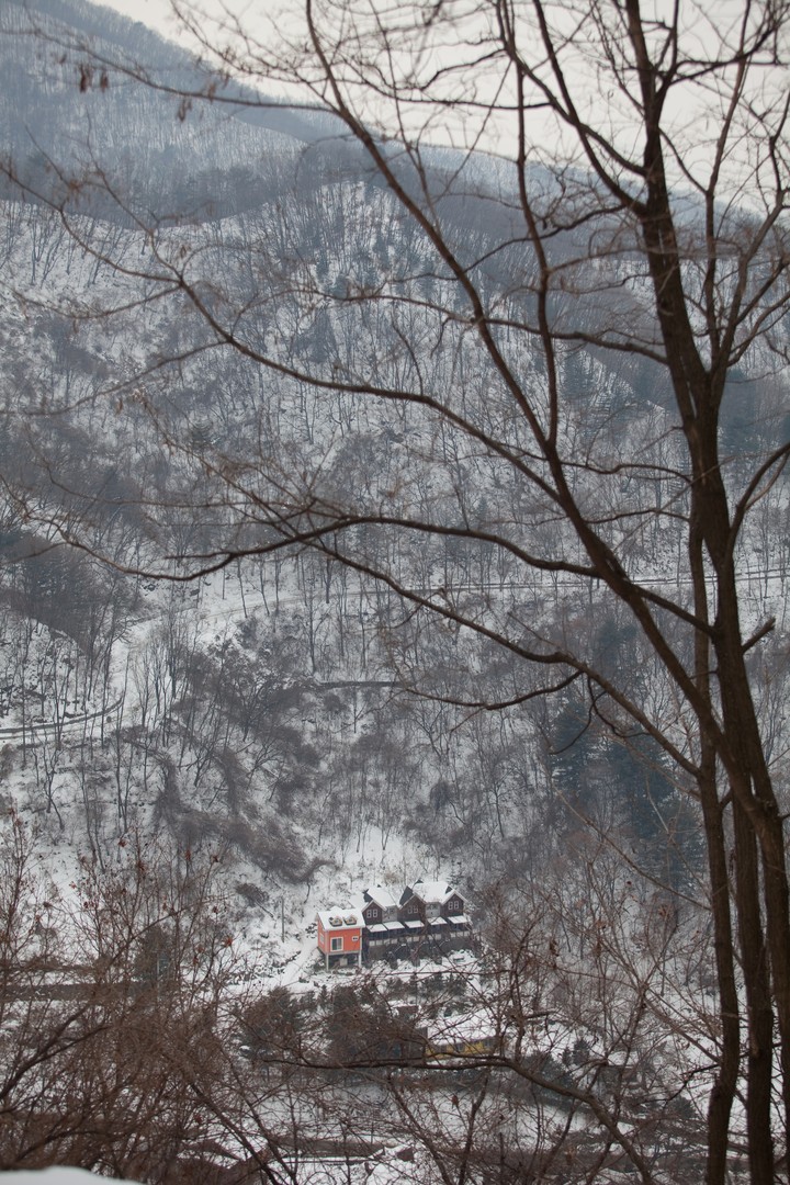 Winter