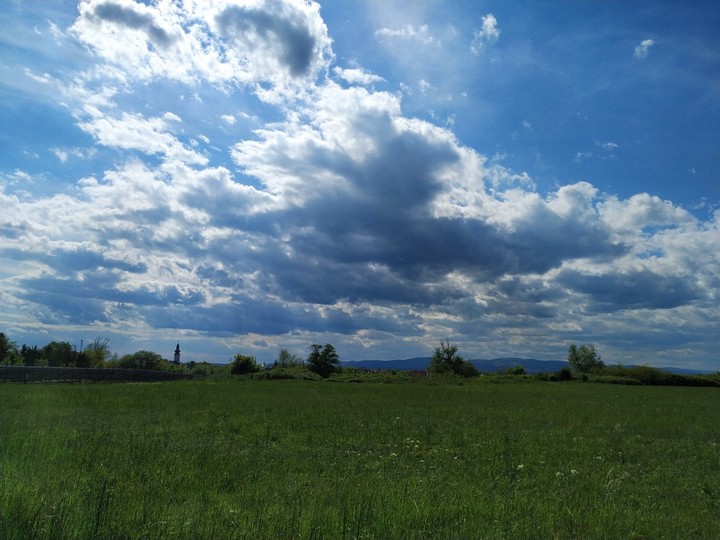 It is the meadow