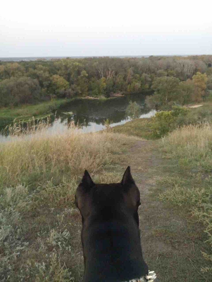 #стафф