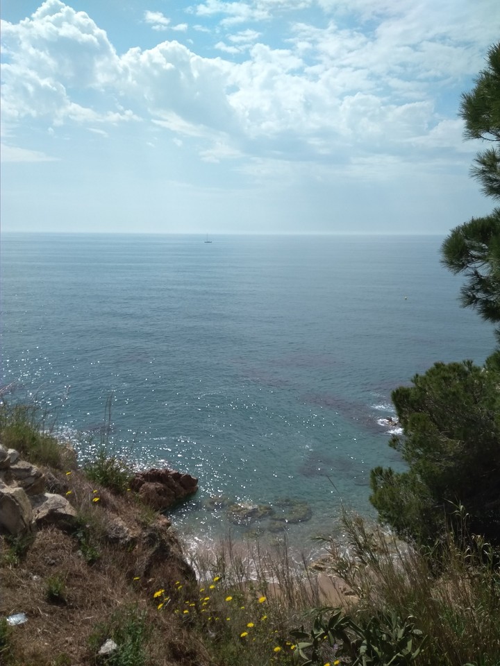 Sea