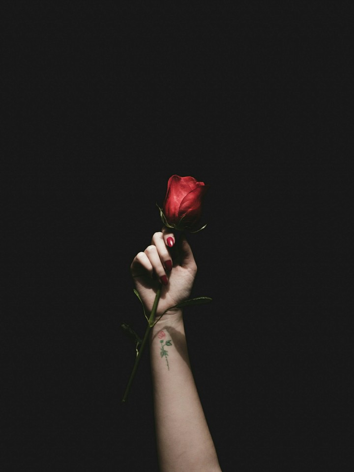 Rose
