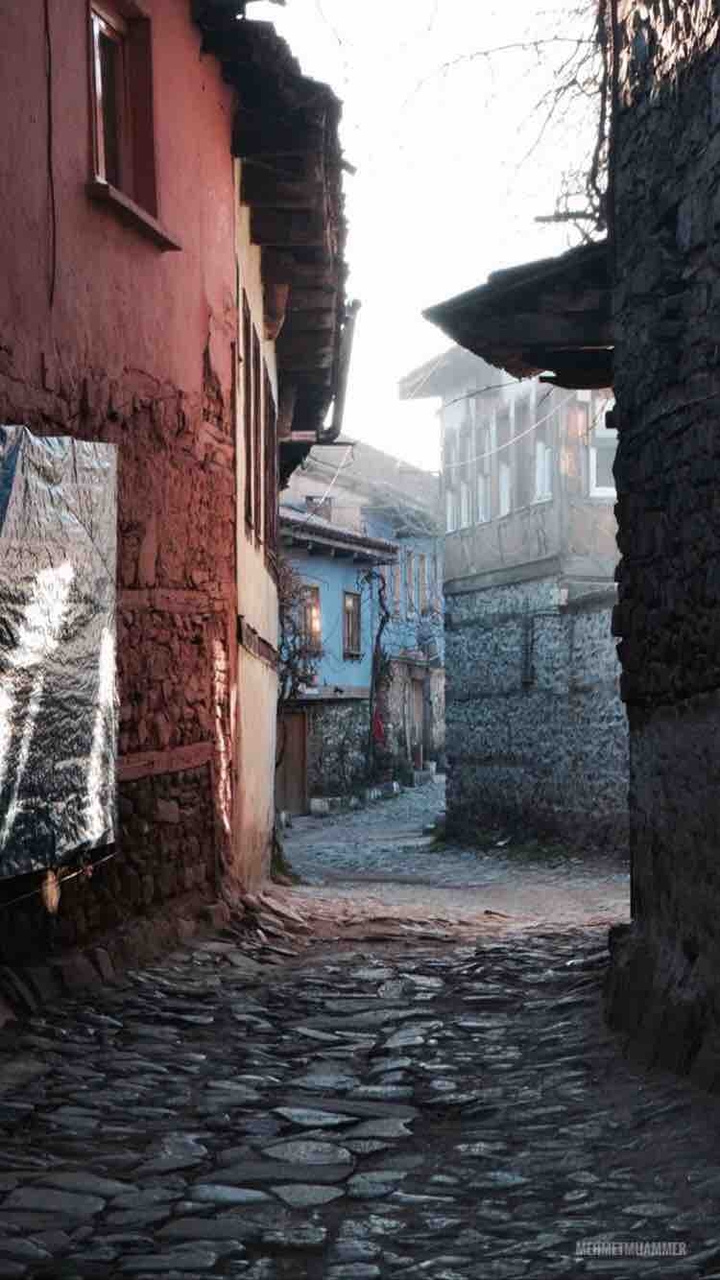 Bursa
