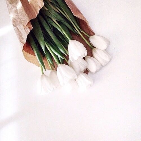 petal, floristry壁纸