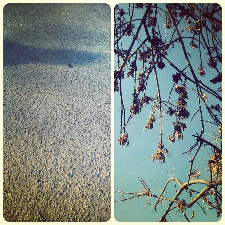 earth & sky