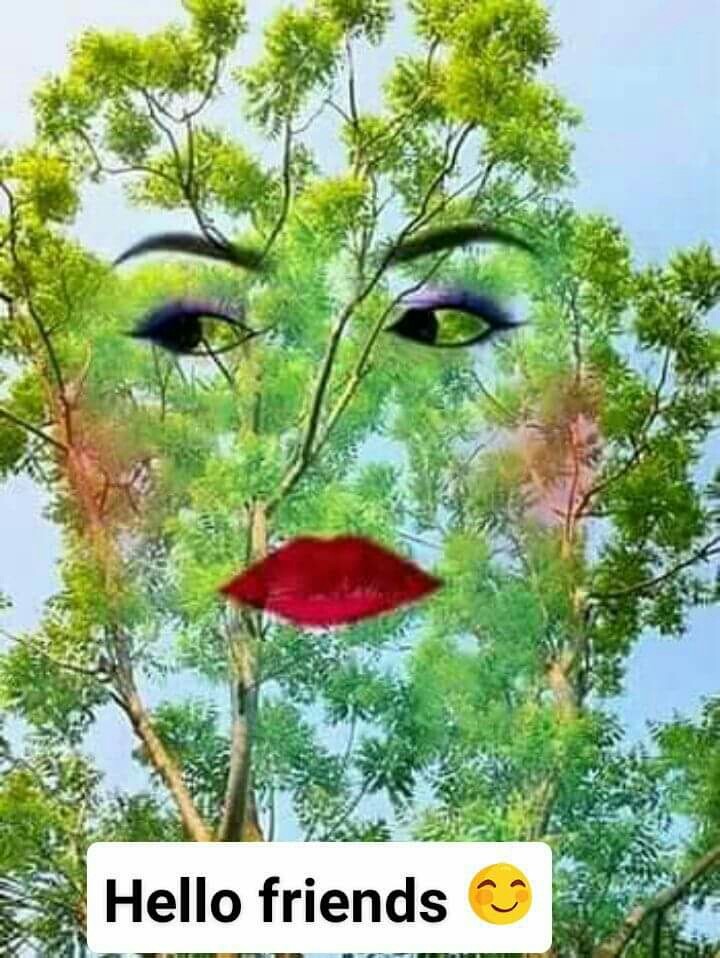 INDIA FRIEND SEND ME