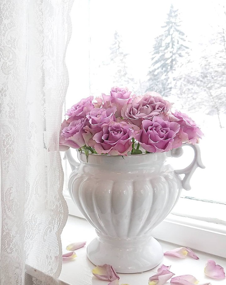 Roses