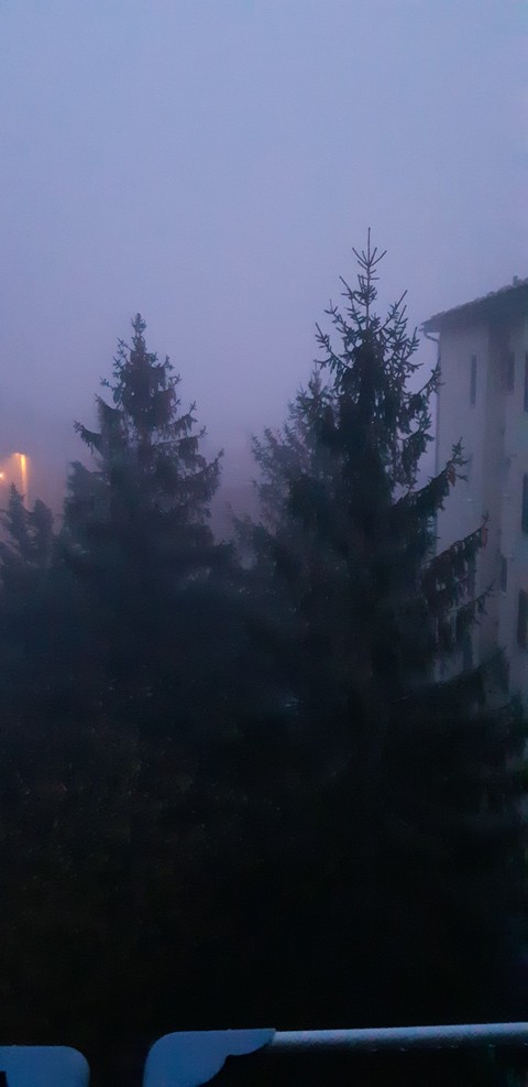 Fog
