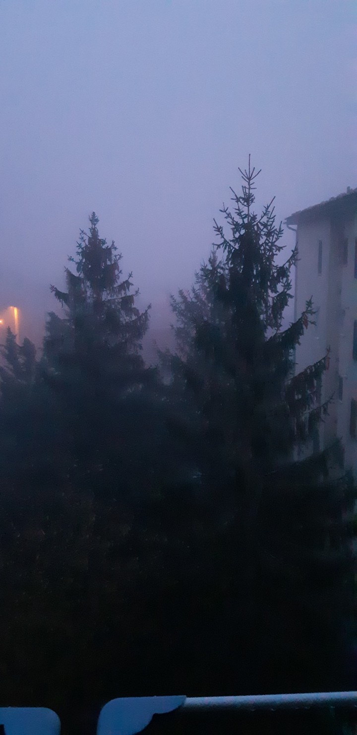 Fog