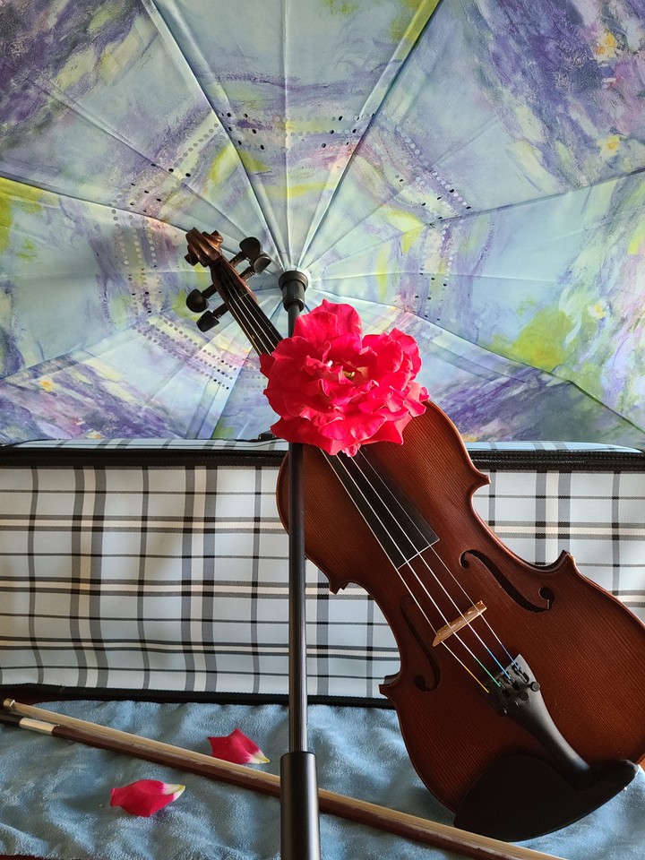 Learning My Passion
