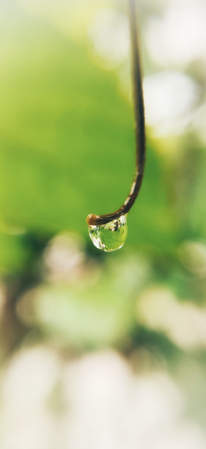 Drip Down My Veins