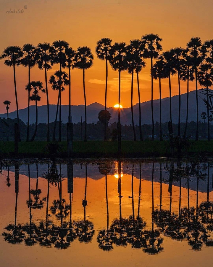 Blissful reflection