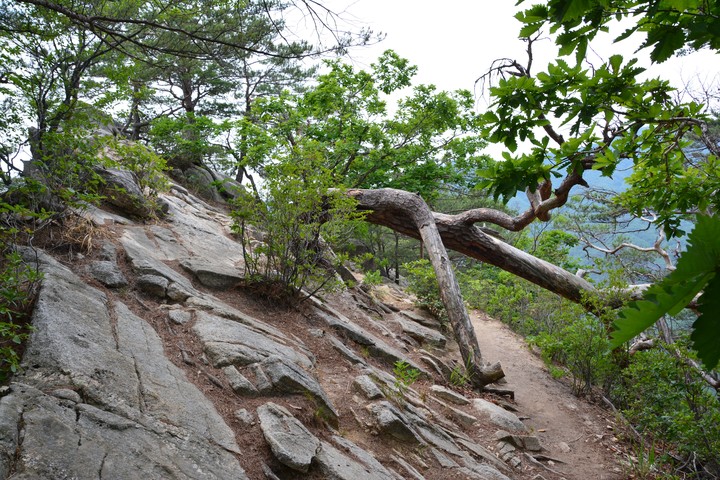 오봉산이미지