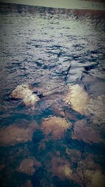 water
