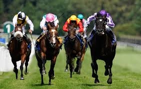 Horses